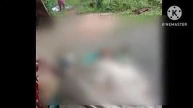 ଜୁଜୁମୁରା: ମୁଣ୍ଢେର ଗ୍ରାମର ନୂଆପଡ଼ା ରେ ସାପ କାମୁଡାରେ ସ୍କୁଲ ରୋଷେଇୟା ଙ୍କ ମୃତ୍ୟୁ
