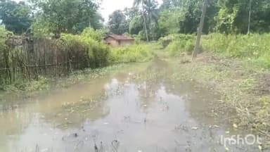 ଜୁଜୁମୁରା: ବଡ଼ସାହିର ଗ୍ରାମର ବଙ୍ଗଳା ପଡ଼ାରେ ପାଣି ଘେରରେ ୪ ପରିବାର