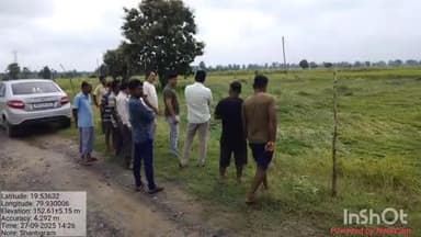 मुलचेरा: मुसळधार पावसामुळे धानपिकांचे मोठे नुकसान,मुलचेरा तालुक्यातील अनेक गावांना फटका