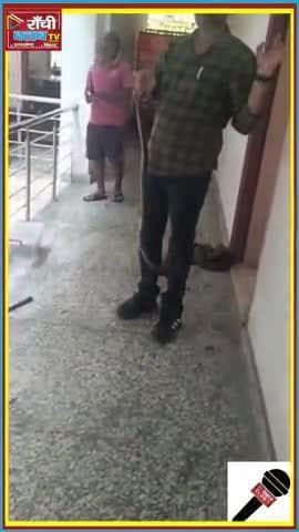 Ranchi News ! Doranda Thana me Nikla Saanp 🐍 | Indian Rat Snake Rescue | Ranchi Club TV
Ranchi #Doranda #SnakeRescue