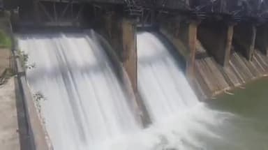 ગીર ગઢડા: ગીરગઢડાના જામવાડા પાસે આવેલ શીંગોડા ડેમ થયો ઓવરફલો ડેમના 3 દરવાજા 60 મીટર ખોલાયા 12 અસરગ્રસ્ત ગામોને એલર્ટ કરાયા