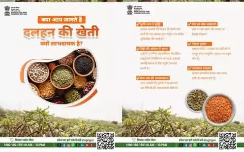 🌱 दालें = सेहत + संपन्नता! दलहन खेती से बढ़ेगी आमदनी, उर्वरता व पोषण सुरक्षा। कम पानी, ज़्यादा लाभ!
#AgriGoI #Pulses