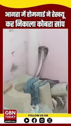 होमगार्ड ने रेस्क्यू कर निकाला कोबरा सांप
#AgraBreaking #CobraRescue #gbntoday