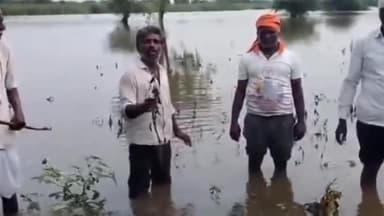 नायगाव-खैरगाव: देवा आता तुच वाचवं रे बाप्पा आता तुझ्याशिवाय आम्हाला कोणीच वाली नाही..बळेगाव येथील नुकसानग्रस्त शेतकऱ्यांचा Video Viral