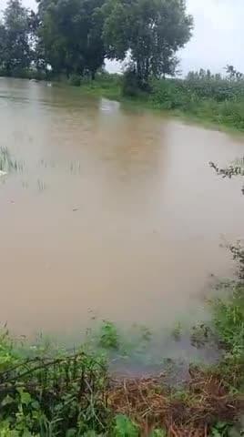 शहज़ादनगर में बारिश का पानी