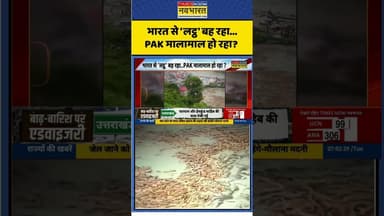 भारत से 'लट्ठ' बह रहा...PAK मालामाल हो रहा? #pakistan #bamboo #heavyrain #weathernews #flood