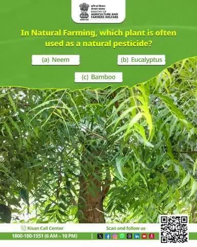 In #NaturalFarming, which plant is often used as a natural pesticide?
#AgriGoI #AgriQuiz #Quiz #Agriculture