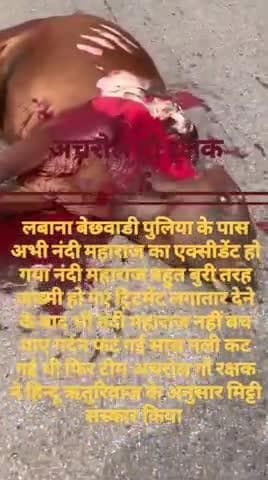 हिन्दू ऋतुरिवाज के अनुसार मिट्टी संस्कार किया अचरोल गौ रक्षक टीम अमित 🙏