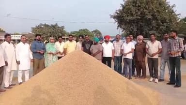 ਬਲਾਚੌਰ: ਬਲਾਚੌਰ ਦੀ ਦਾਣਾ ਮੰਡੀ ਵਿਚ ਝੋਨੇ ਦੀ ਖਰੀਦ ਹਲਕਾ ਵਿਧਾਇਕ ਸੰਤੋਸ਼ ਕਟਾਰੀਆ ਨੇ ਸ਼ੁਰੂ ਕਰਵਾਈ