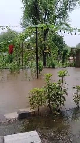 जयपुर रामनगरिया में लगातार सुबह 9.00 बजे से भारी बारिश अभी तक रुकने की कोई स्थिति नही है