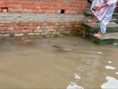 पूरनपुर मोहल्ला अहमद नगर वर्ड नो०5 बरकती मस्जिद के पास घरों के सामने भरा बारिस का पानी। प्रधान से काफ़ी खेने के बाद नहीं बनबाई सड़क #पूरनपुर