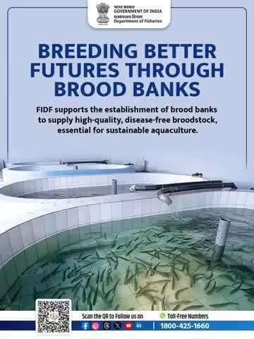 High-quality broodstock means healthier farms—FIDF is making it happen!
#BroodBanks #FIDFIndia