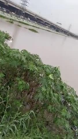 Delhi mein Bahar a gaya hai