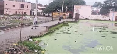 संभल: सरायतरीन में कुंड के पास बनी सड़क धसने के कारण नगर पालिका ने बॉस बल्ली लगाकर रास्ते किया बंद,बना था डर#Khabar ka asar