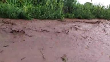 रात बर मूसलधार बारिश के वाद कौशल्या नदी उफान पर जुगीयो मे बडा पानी प्रशासन को कोई खबर नही