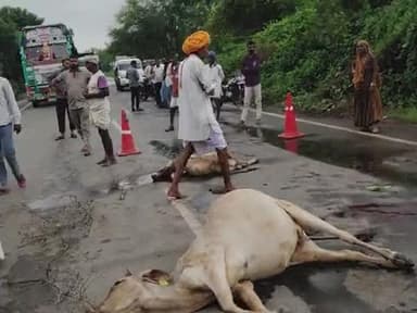 rami ki jhopaadiya me barect ki mag ha rahi hai go mata ko. mar raha he