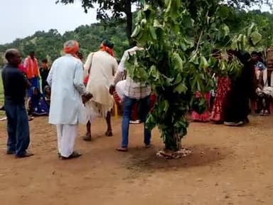 चटनिया पंचायत के आदिवासी टोला में कर्म बाबा के पूजा धूम धाम से हो रहा है