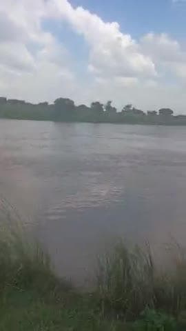 ग्राम गोरीखेड़ा गोटिया जहां पर पानी बहुत तेजी से बढ़ रहा है नदी इधर-उधर काटो भी बहुत ले रही है पूरे रास्तेबंद हो चुके है