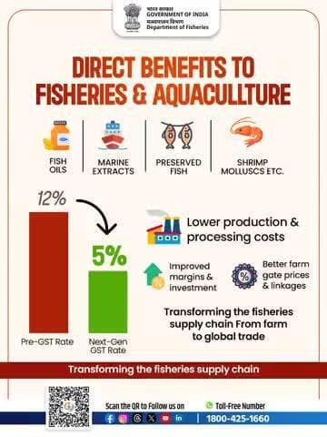 Lower GST on essential fishery products will unlock growth, affordability, and competitiveness across India’s seafood value chain.
#NextGenGST #56thGSTCouncil #AquacultureBoost #SupplyChain