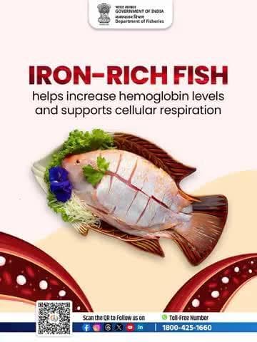 Boost your blood health with iron-packed fish!#IronRich #HemoglobinHealth #FishBenefits #NationalNutritionWeek

