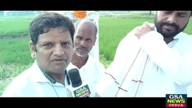 संदीप सौरव, पालीगंज विधायक से बातचीत, नरेंद्र मोदी को ड्रामेबाज कहा
#BiharBandh #paliganj #cpiml #Jahanabad