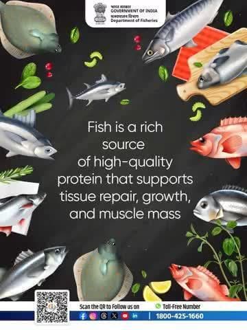 Strength starts with what’s on your plate. Choose fish for a protein-packed boost!#ProteinPower #FishNutrition #HealthyEating #NationalNutritionWeek