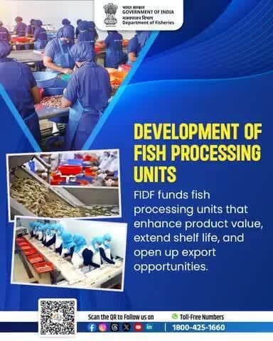 FIDF is powering value addition in fisheries!
#FishProcessing #ValueAddition #FIDFImpact
