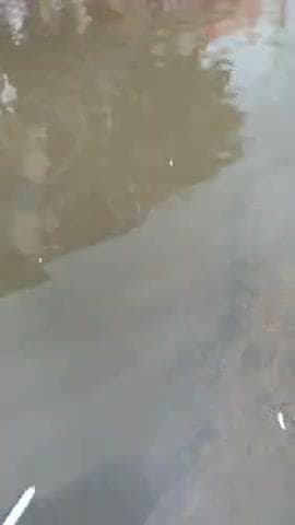 loni ke हालत bora ho rha h