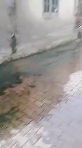 ਅਮਲੋਹ: ਇਹ ਸੀਵਰੇਜ ਜਾਮ ਦੇ ਵੀਡੀਓ ward no 2 ਵਿੱਚ ਸੀਵਰੇਜ਼ ਦਾ ਬੁਰਾ ਹਾਲ,ਨਹੀਂ ਹੋਈ ਕਈ ਸਾਲਾਂ ਤੋਂ ਸਫਾਈ,