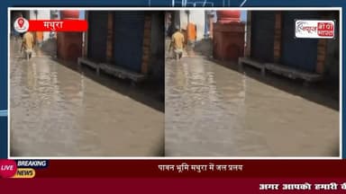 https://youtu.be/eFWCz1hT8jg
#UP यमुना के बढ़ते जलस्तर से शहर में हाहाकार मांट रोड और पानी गांव रोड जलमार्ग में तब्दील
#मथुरा #मांट #पानीगाँव #वृंदावन