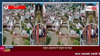 मथुरा-वृंदावन में यमुना का विकराल रूप: बांके बिहारी मंदिर मार्ग हुआ जलमग्न, अयोध्या नगर में मकान हुआ धराशाई
#मथुरा #वृंदावन #यमुना