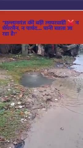 "सुल्तानगंज में टूटी पाइपलाइन से पानी की बर्बादी ‼️ जनप्रतिनिधि मौन 🚨"
#Sultanganj #BhagalpurNews #MurarkaCollege