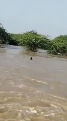 आज सुबह #झांक_नदी में #बाइक सवार को ग्रामीणों के सहयोग से सुरक्षित निकाला