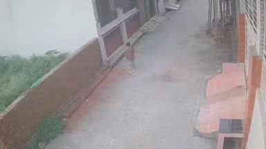 बरवाला: कालका नगर परिषद की लापरवाही: आवारा कुत्तों के हमले से बालक घायल, सीसीटीवी वीडियो आया सामने