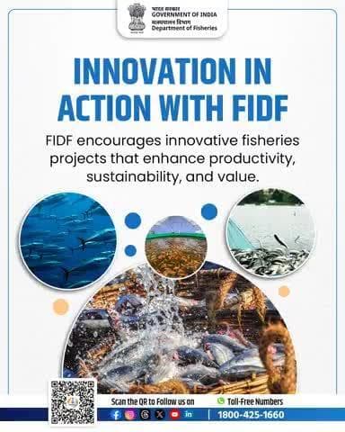 "Creativity meets aquaculture—FIDF is funding innovation for a better fisheries future!"
#FisheriesInnovation #SmartAquaculture #FIDFIndia