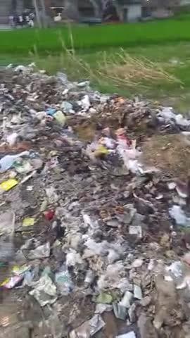baksar Ansari wale mohalle mein gandhi ka ambar karpya sapai kar ya