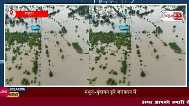 वृंदावन में बाढ़ को देखने पहुंचे प्रेमानंद महाराज: स्टीमर पर सवार होकर देखा यमुना का रौद्र रूप, बोले- संयम से काम लें
#मथुरा #वृंदावन #प्रेमानंद #यमुना #प्रेमानंदमहराज