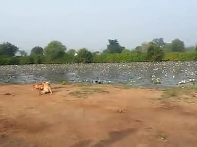 तिलगवा गाव की समस्त
सरपंच के कार्य ना करने