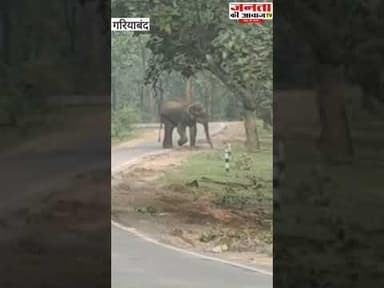 फिर पहुंचा हाथी नेशनल हाईवे 130 सी मुख्य मार्ग पर...सड़क हुआ जाम #gariyaband