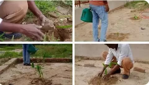 #स्वच्छताअभियान2025 को सफल बनाने के क्रम में बरेका कारखाना परिसर क्षेत्र के न्यू ब्लॉक शॉप के सामने स्थित तालाब के पास, सौंदर्यीकरण और पर्यावरण संरक्षण जागरूकता बढ़ाने के लिए सिविल विभाग द्वारा वृक्षारोपण और लैंडस्केपिंग कार्य किया गया।