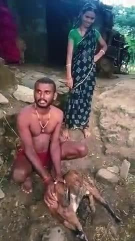 jehanabad. ! nadpura gau me huya Bakri accident! bakakri paln karne vale ramdhar yadav @ sarkar ke taraf se kuchh mille