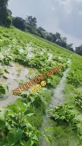 pura doob Gaya sikarwara