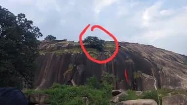 बगीचा: बगीचा के झापीदरहा में शराब के नशे में एक नाबालिग युवक ने आत्महत्या के लिए पेड़ पर चढ़ा, पुलिस ने घंटों बाद युवक को उतारा