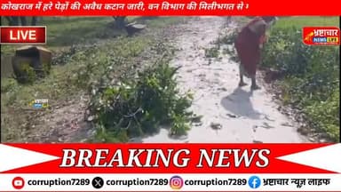 कोखराज में हरे पेड़ों की अवैध कटान जारी, वन विभाग की मिलीभगत से माफियाओं के हौसले बुलंद