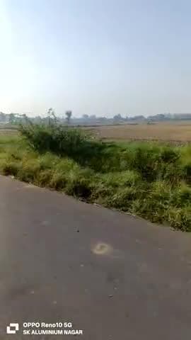पेंडका रोड पर राहगीरों का निकलना मुश्किल हैं नगर पालिका नगर से निवेदन है कचरा कहीं और डाले