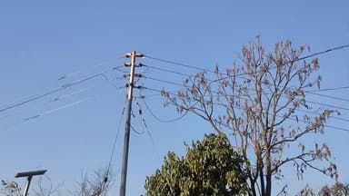 मकरीड़ी: रखरखाव कार्य के चलते मकरीडी उपतहसील के कई गांवों में विद्युत आपूर्ति चार दिन तक प्रभावित रहेगी