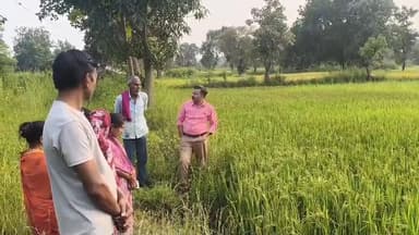 #बालाघाट
उपसंचालक कृषि ने बेनेगांव एवं लवेरी में प्राकृतिक खेती का किया निरीक्षण
राष्ट्रीय प्राकृतिक खेती मिशन...
