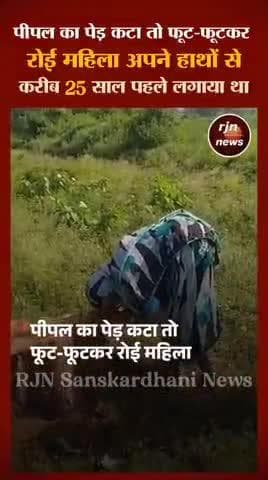 पीपल का पेड़ कटा तो फूट फुटकर रोई महिला
#Rajnandgaon #khairagarh #chhattisgarh