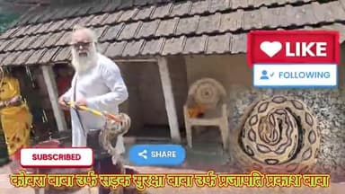 रसैल वाइपर खतरनाक सर्प है काट ले तो तुरंत नजदिकी अस्पताल जांए झाड़ फुक के चक्कर में आपकी जान जा सकती है