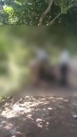 छछरौली: छछरौली खंड के गांव ललहाडी कलां में गृह क्लेश के चलते एक व्यक्ति ने फांसी लगाकर आत्महत्या की